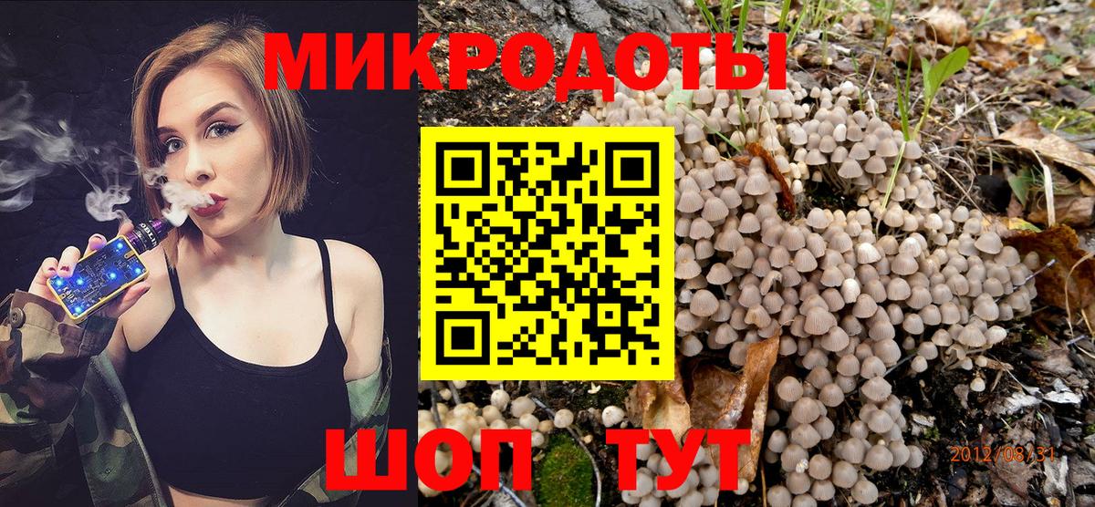 Алексеевка  Псилоцибиновые грибы GOLDEN TEACHER  Галлюциногенные грибы MAGIC MUSHROOMS  Вход с VPN 